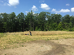 murid mowing the grass at the AQRT main center