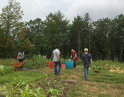 Murids from Massachusetts and South Africa tending the main dergah's community garden