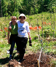 AQRT murids planting fruit trees at main center in NY