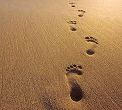 footprints