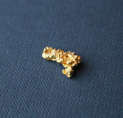 gold nugget