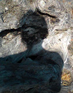 shadow of human being